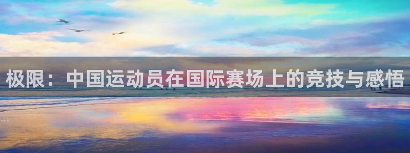 极限：中国运动员在国际赛场上的竞技与感悟