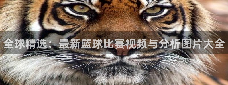 全球精选：最新篮球比赛视频与分析图片大全