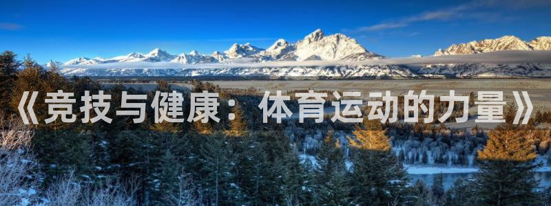 《竞技与健康：体育运动的力量》