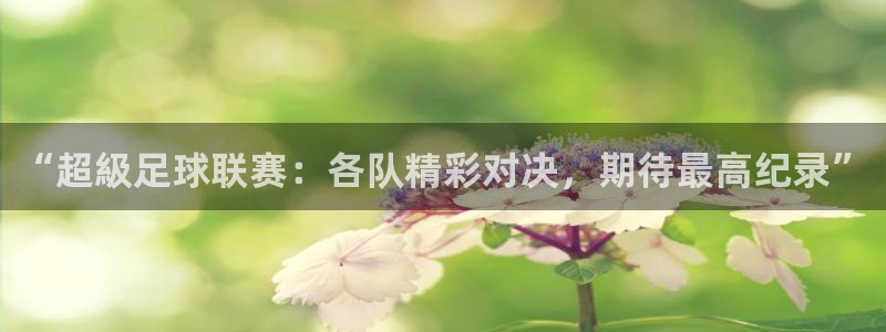 “超級足球联赛：各队精彩对决，期待最高纪录”