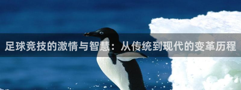 足球竞技的激情与智慧：从传统到现代的变革历程