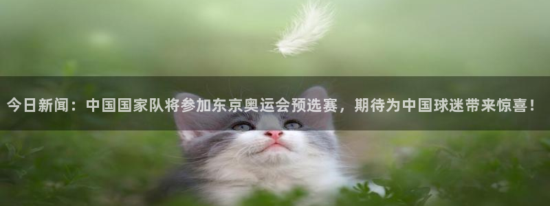 今日新闻：中国国家队将参加东京奥运会预选赛，期待为中国球迷带来惊喜！