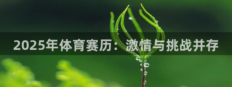 2025年体育赛历：激情与挑战并存