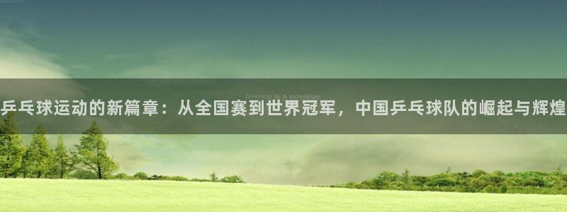 乒乓球运动的新篇章：从全国赛到世界冠军，中国乒乓球队的崛起与辉煌