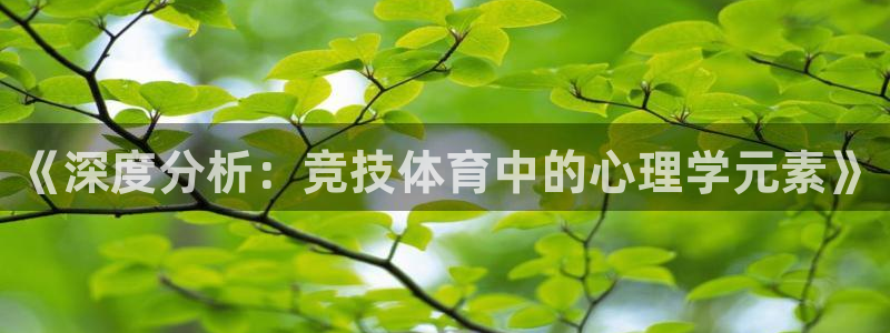 《深度分析：竞技体育中的心理学元素》