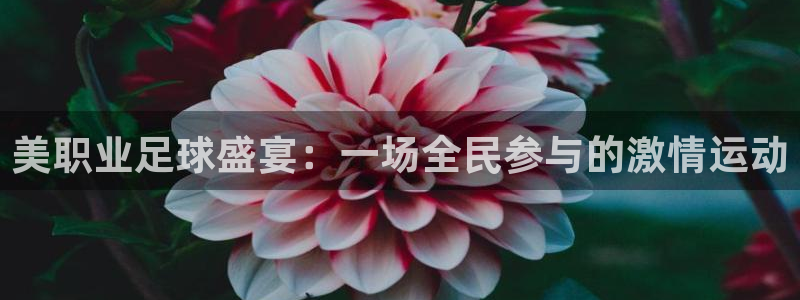 美职业足球盛宴：一场全民参与的激情运动