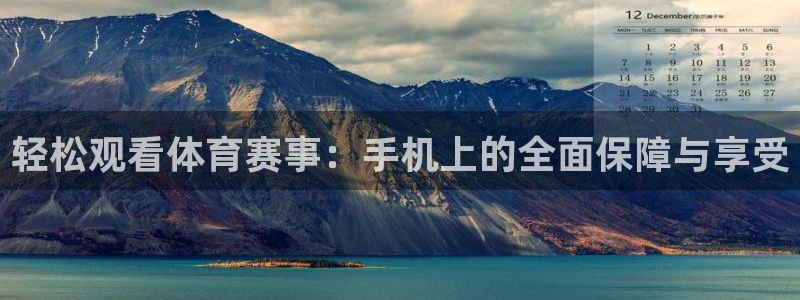 轻松观看体育赛事：手机上的全面保障与享受