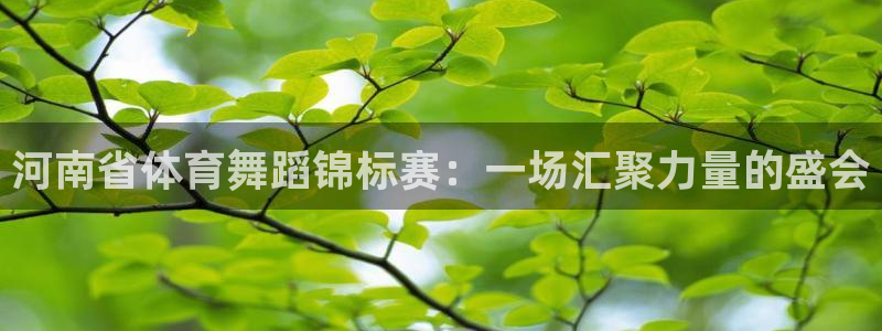 河南省体育舞蹈锦标赛：一场汇聚力量的盛会