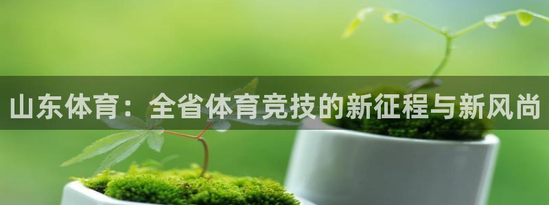山东体育：全省体育竞技的新征程与新风尚