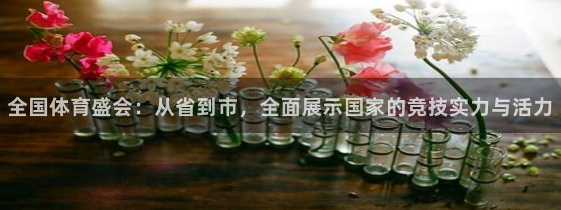 全国体育盛会：从省到市，全面展示国家的竞技实力与活力