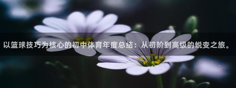 以篮球技巧为核心的初中体育年度总结：从初阶到高级的蜕变之旅。