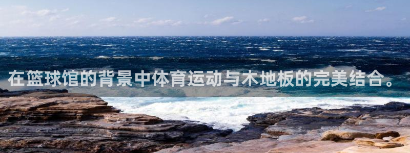 在篮球馆的背景中体育运动与木地板的完美结合。