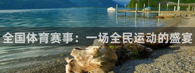 全国体育赛事：一场全民运动的盛宴