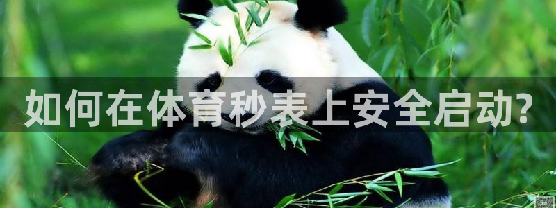如何在体育秒表上安全启动?