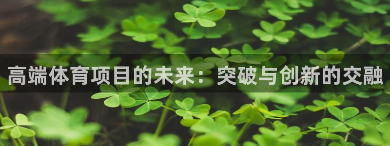 高端体育项目的未来：突破与创新的交融