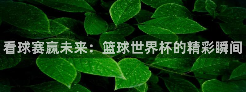 看球赛赢未来：篮球世界杯的精彩瞬间