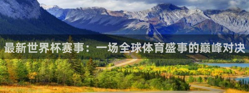 最新世界杯赛事：一场全球体育盛事的巅峰对决