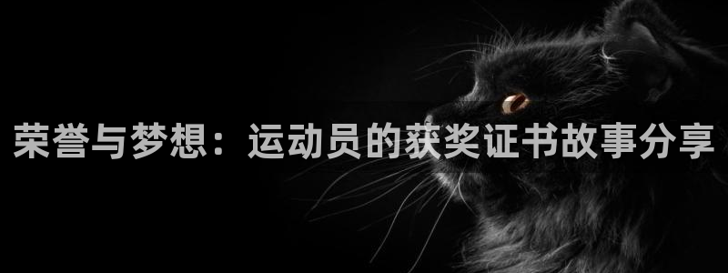 荣誉与梦想：运动员的获奖证书故事分享
