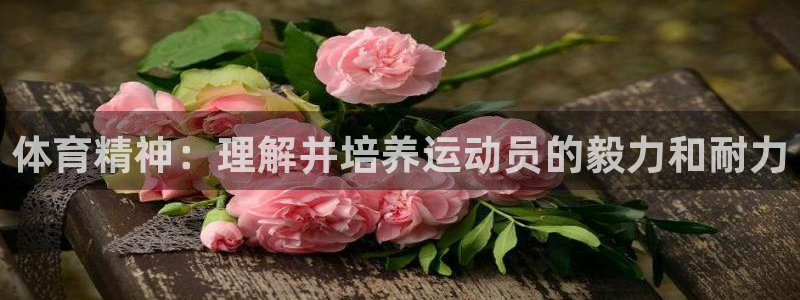 体育精神：理解并培养运动员的毅力和耐力