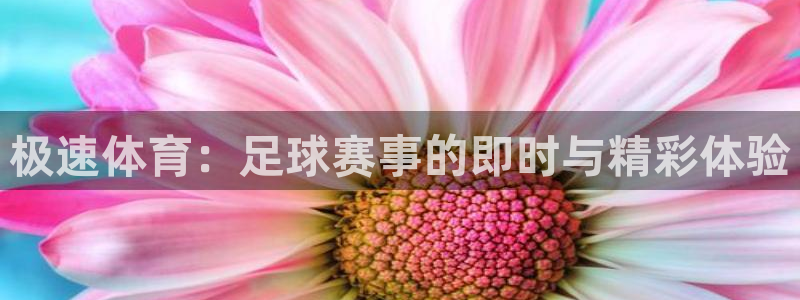 极速体育：足球赛事的即时与精彩体验