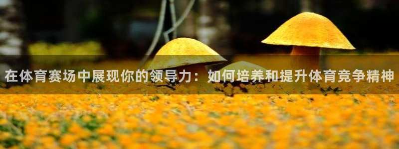 在体育赛场中展现你的领导力：如何培养和提升体育竞争精神