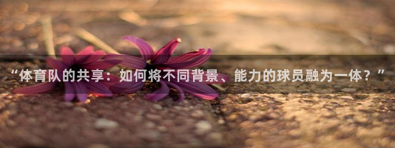 “体育队的共享：如何将不同背景、能力的球员融为一体？”