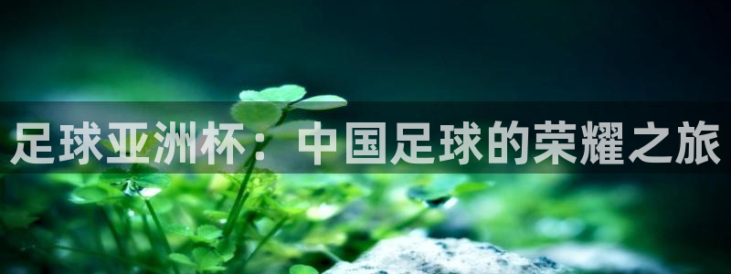 足球亚洲杯：中国足球的荣耀之旅