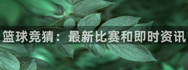 篮球竞猜：最新比赛和即时资讯