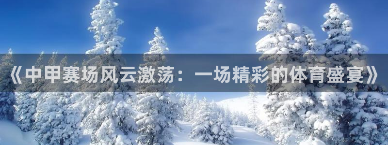 《中甲赛场风云激荡：一场精彩的体育盛宴》