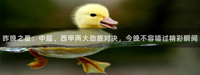 昨晚之星：中超、西甲两大劲旅对决，今晚不容错过精彩瞬间