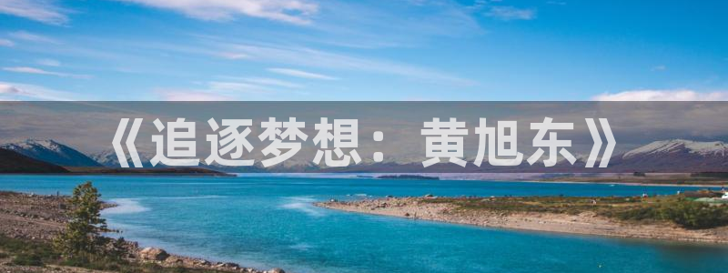 《追逐梦想：黄旭东》