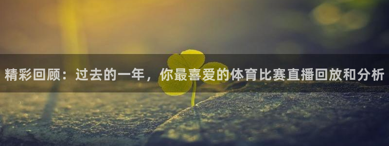 精彩回顾：过去的一年，你最喜爱的体育比赛直播回放和分析