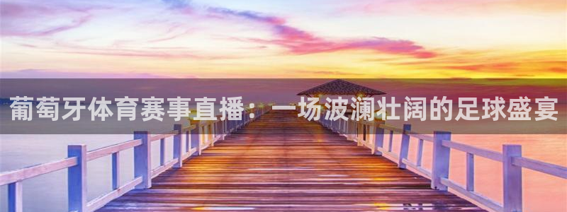 葡萄牙体育赛事直播：一场波澜壮阔的足球盛宴