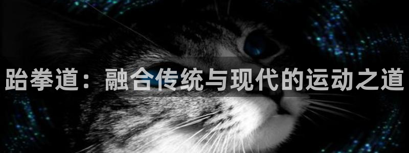 跆拳道：融合传统与现代的运动之道