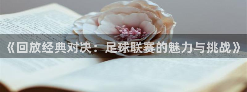 《回放经典对决：足球联赛的魅力与挑战》