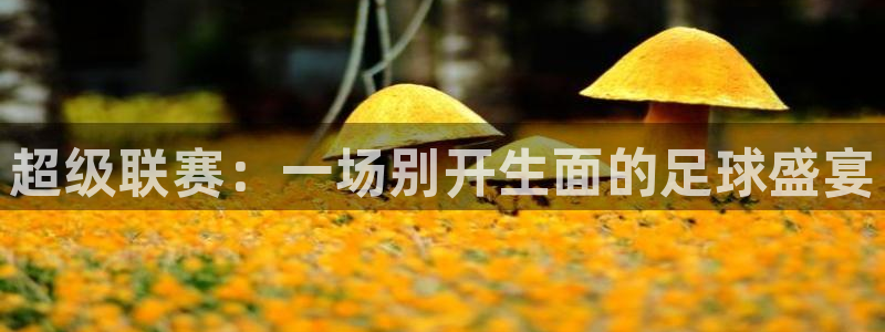 超级联赛：一场别开生面的足球盛宴