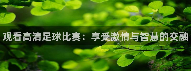 观看高清足球比赛：享受激情与智慧的交融