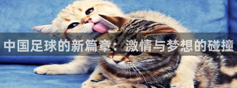 中国足球的新篇章：激情与梦想的碰撞