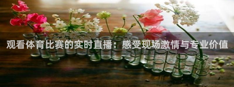 观看体育比赛的实时直播：感受现场激情与专业价值