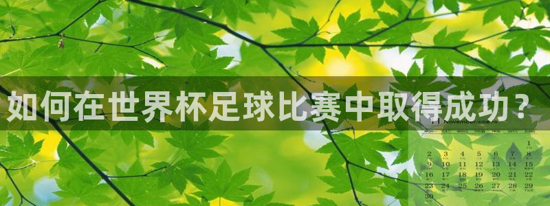 如何在世界杯足球比赛中取得成功？