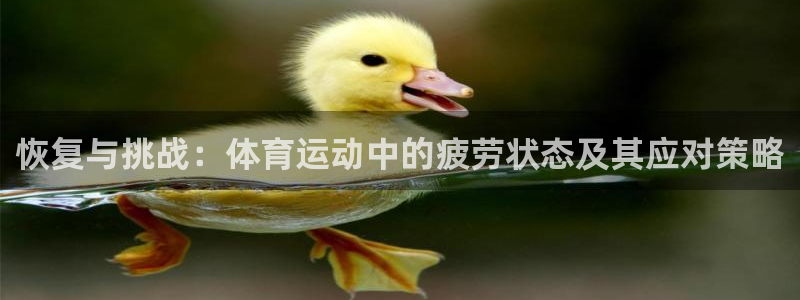 恢复与挑战：体育运动中的疲劳状态及其应对策略