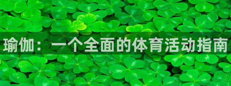 瑜伽：一个全面的体育活动指南
