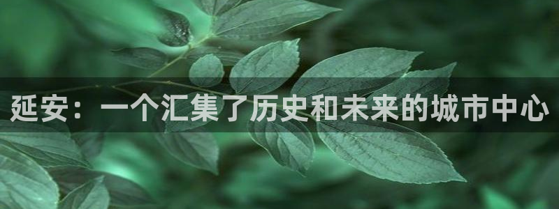 延安：一个汇集了历史和未来的城市中心