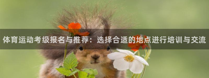 体育运动考级报名与推荐：选择合适的地点进行培训与交流