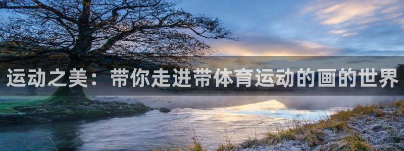 运动之美：带你走进带体育运动的画的世界