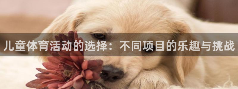 儿童体育活动的选择：不同项目的乐趣与挑战