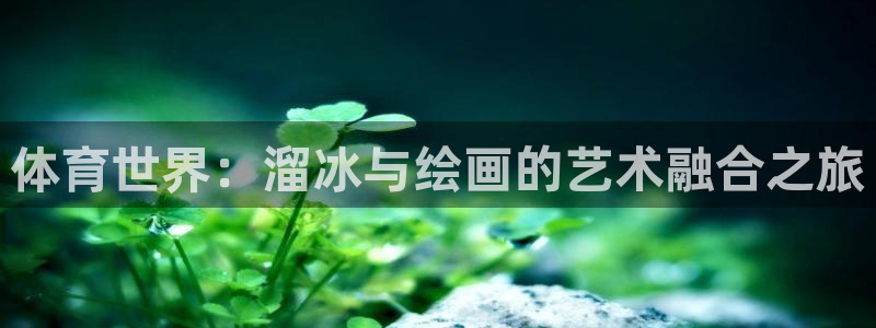 体育世界：溜冰与绘画的艺术融合之旅