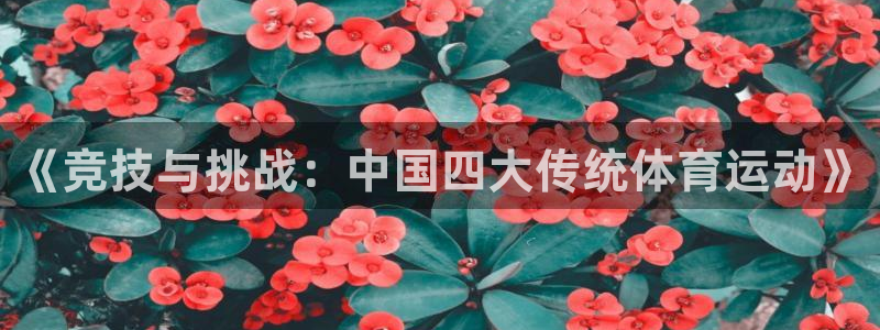 《竞技与挑战：中国四大传统体育运动》