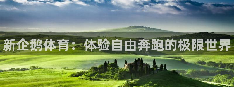 新企鹅体育：体验自由奔跑的极限世界