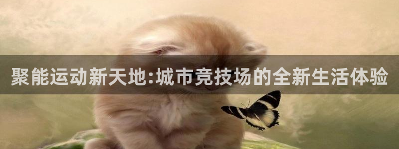 聚能运动新天地:城市竞技场的全新生活体验